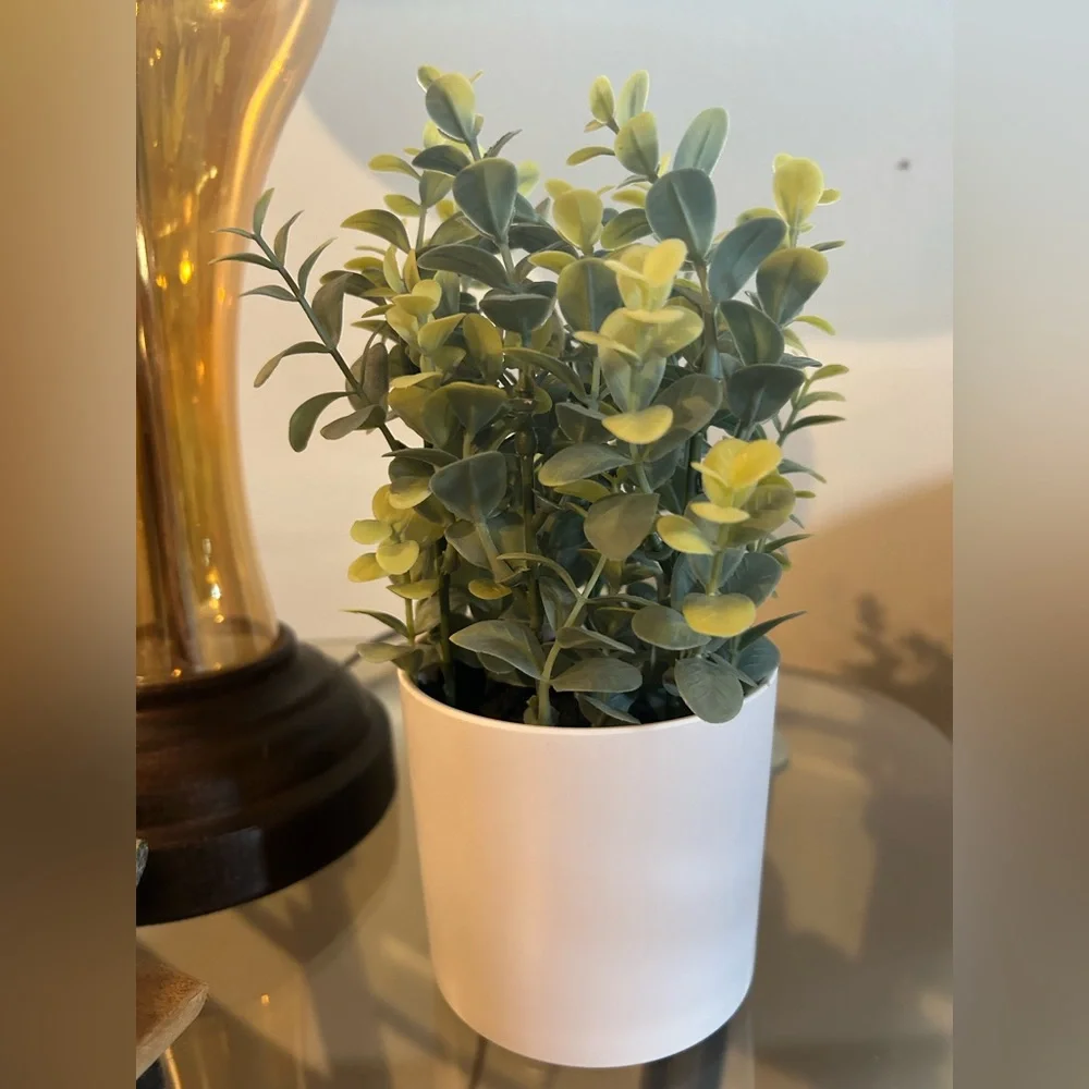 Target Bullseye Artificial Greenery in White Pot